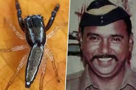 जानिए भारत में मिली मकड़ी की नई प्रजाति का नाम असिस्टेंट सब इंस्पेक्टर के नाम पर क्यों रखा गया..? भारत में मिली मकड़ी की नई प्रजाति, 26/11 के हीरो असिस्टेंट सब इंस्पेक्टर तुकाराम ओंबले के नाम पर रखा गया