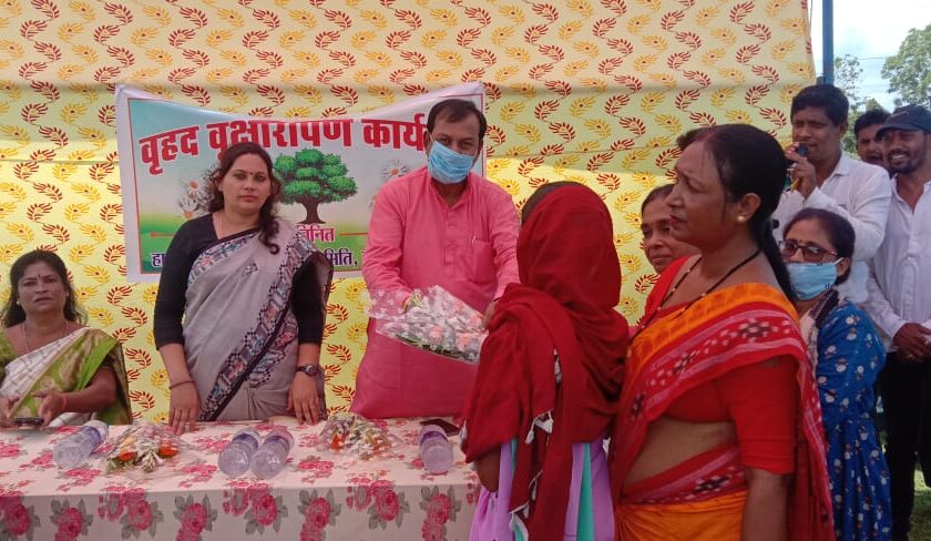 हाउसिंग बोर्ड चरौदा, मे सासंद विजय बघेल ने किया वृक्षारोपण